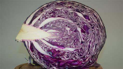 Aufgeschnittener Rotkohl und Nährstoffgrafik