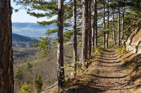 Aukrug Wanderwege und Umgebung