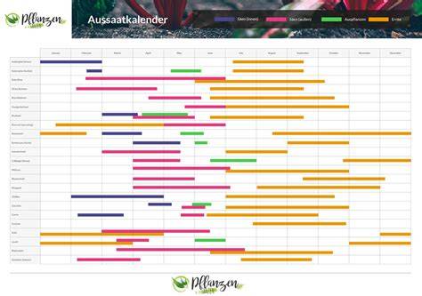 Ausgewählte Marzipansorten aus dem Kalender