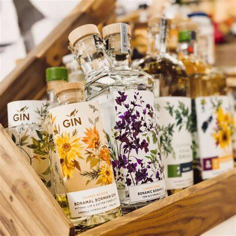 Auswahl verschiedener Tonic-Flaschen und Botanicals