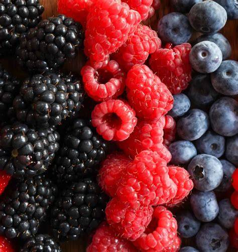 Auswahl von Marmeladen: Traube, Johannisbeere, Brombeere, Banane