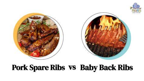 Baby Back Ribs vs. Spare Ribs Infografik