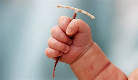 Baby hält Dinkelstange in der Hand