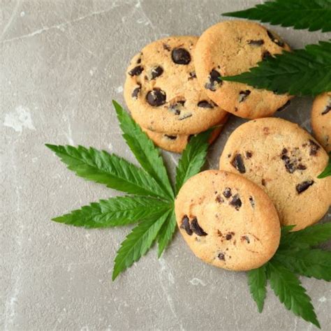 Backblech mit frisch gebackenen Cannabis Keksen