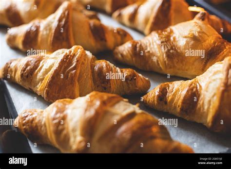 Backblech mit geformten Croissants auf Backpapier vor dem Backen