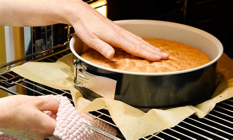 Backofen und Springform mit Biskuitteig