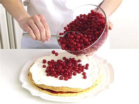 Backprozess: Johannisbeertorte Schritt für Schritt mit Schichten