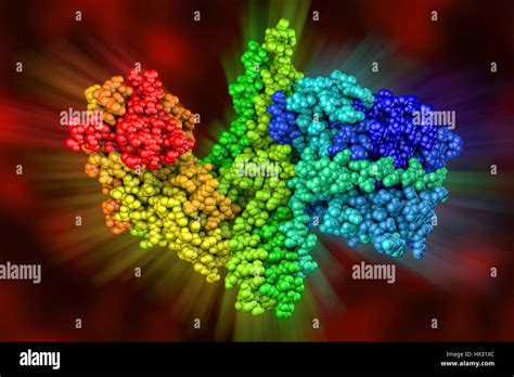 Bakterium Clostridium botulinum - Struktur und Verbreitung