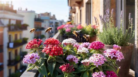 Balkon- und Gartenpflanzen für Bienen im Frühling