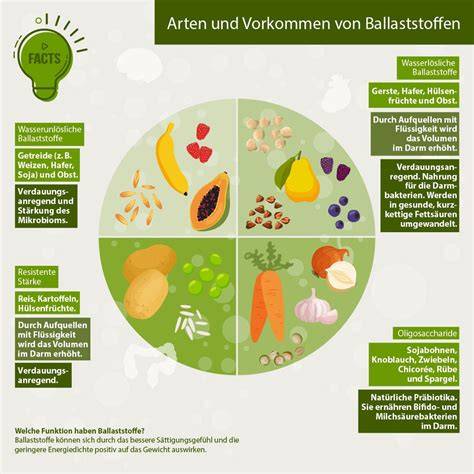 Ballaststoffe, Fettsäuren und vegane Lebensmittel: Infografik