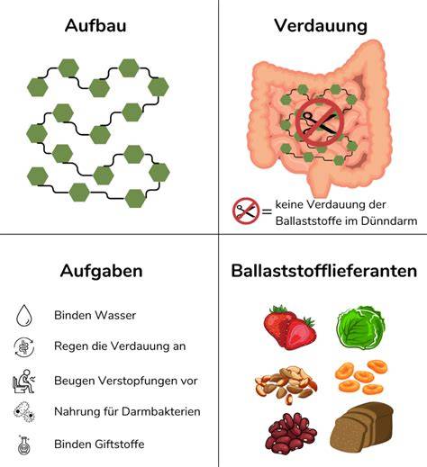 Ballaststoffe: Wirkung auf Verdauung und Herz