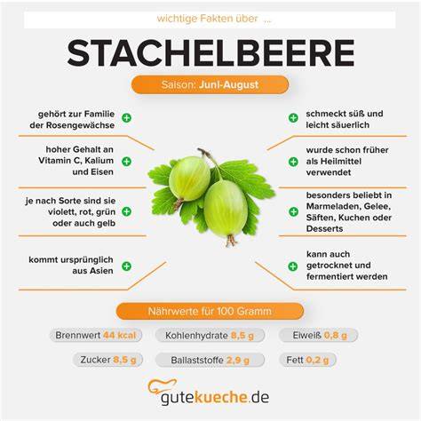 Ballaststoffe und Vitamine in Stachelbeeren - Gesundheitliche Vorteile (Infografik)