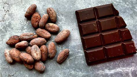 Bean-to-Bar Schokoladenkreislauf
