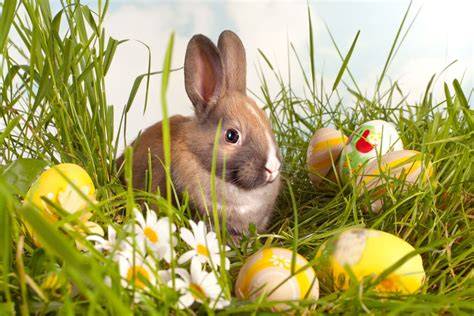 Bedeutung und Symbolik des Osterhasen