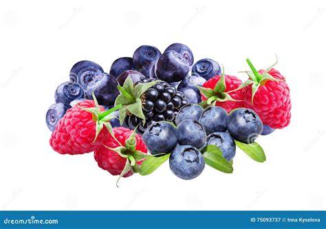 Beerenkorb mit Blaubeeren, Himbeeren und Brombeeren