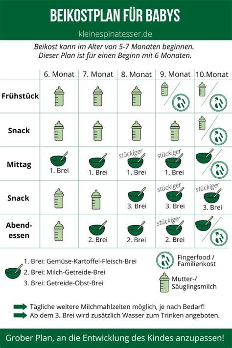 Beikostplan: Gemüsebrei mittags, Getreide-Milch-Brei abends