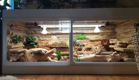 Beispiel eingerichtetes Leopardgecko-Terrarium mit Verstecken und Wärmelampe