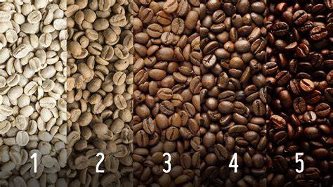 Beispiel für verschiedene Röstgrade von Kaffeebohnen