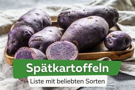 Beliebte Sorten von Tiefkühlgemüse
