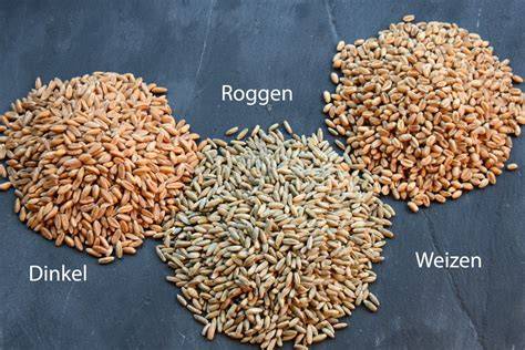 Beliebte Vollkornmehle: Weizen, Dinkel, Roggen