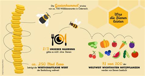 Bestäubungsleistung der Bienen - Infografik zu Obst und Gemüse