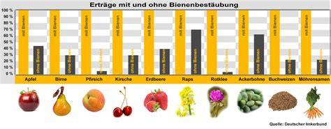 Bestäubungsleistung der Bienen und Bedeutung für die Landwirtschaft