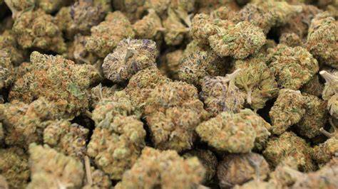 Bestellung und Versand medizinischer Cannabisblüten