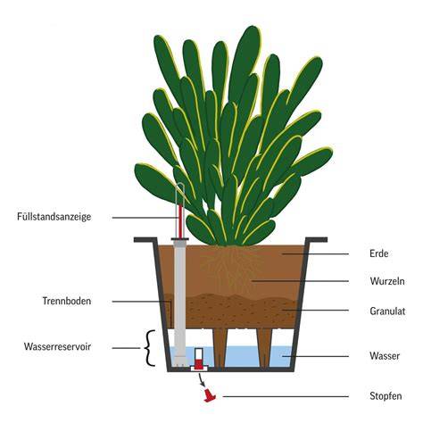 Bewässerung und Drainage im Pflanzentopf
