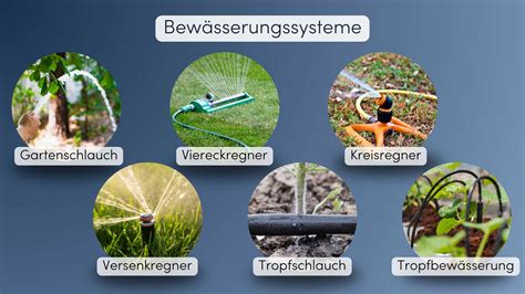 Bewässerungssysteme in Trüffelplantagen