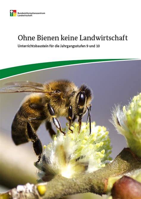 Beziehung zwischen Bienen, Landschaft und Imkerfamilie