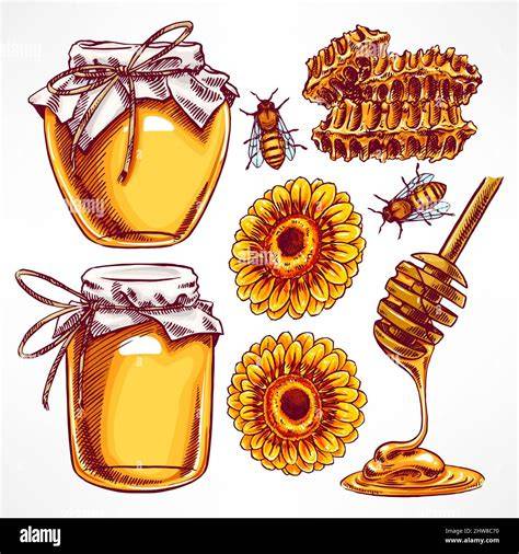 Bienen, Honigwaben und Honiggläser