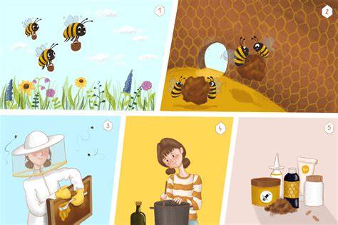 Bienen sammeln Propolis, Detailzeichnung Herstellung und Gewinnung