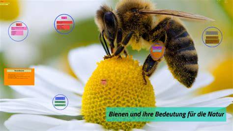 Bienen und ihre Bedeutung für die griechische Flora