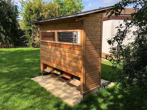 Bienenhaus, fertig eingerichtet, mit Kunstschwarm im Frühlingsgarten