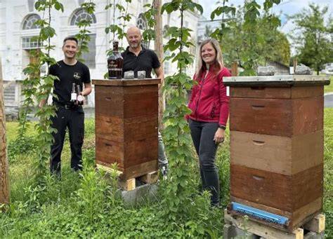 Bienenpatenschaft und Naturschutz - Blühflächen, Bienenstöcke, Engagement