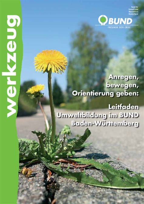 Bienenpatenschaften und Umweltbildung Baden-Württemberg