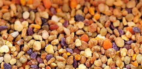 Bienenprodukte: Übersicht der wissenschaftlichen Studien