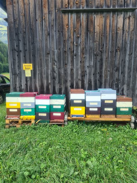 Bienenstände im Zillertal