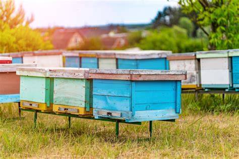 Bienenstöcke und mobile Imkerei in der Steiermark