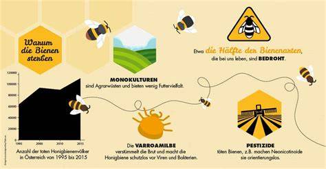 Bienensterben weltweit - Auswirkungen auf Ernte