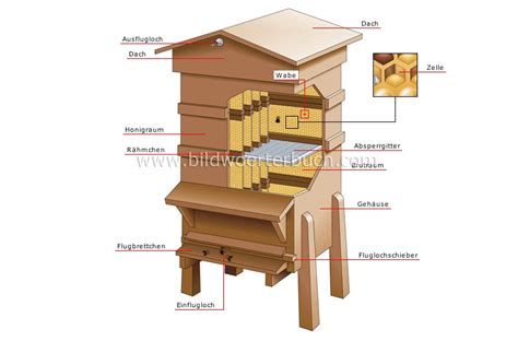 Bienenstock-Aufbau und Honigraum-Schema