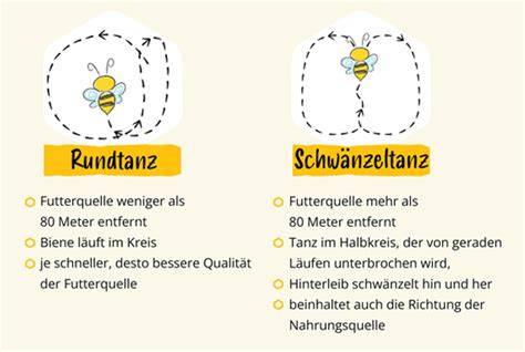 Bienentanz als Kommunikation im Bienenstock