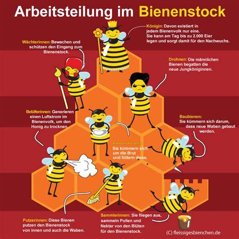 Bienenvolk im Bienenstock