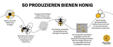 Bienenwachs: Entstehung, Aufbau und Einfluss auf Honig