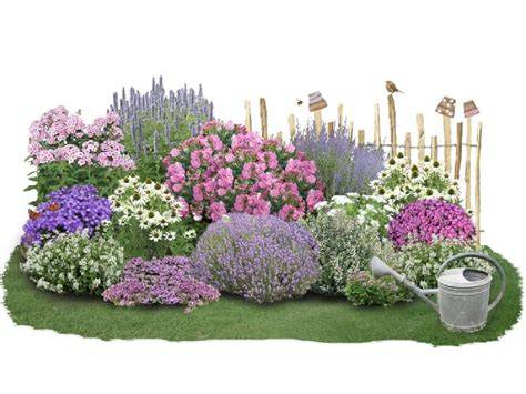 Bienenweide: Salbei mit blühenden Stauden im Garten
