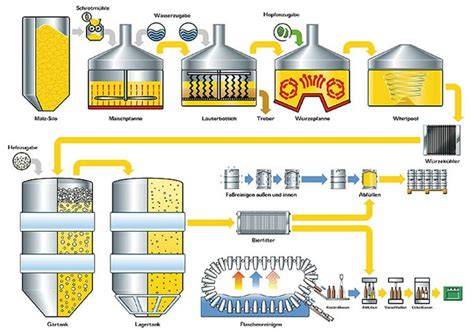 Bierbrauprozess: Von Grutbier zu Hopfenbier