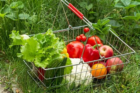 Bild: Einkaufskorb mit frischem Gemüse, Vollkornprodukten und Nüssen