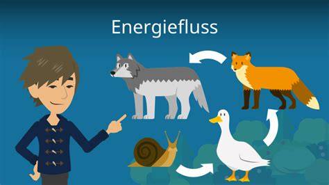Bild: Illustration des Ursprungsnamens als Energiefluss durch den Lichtkörper
