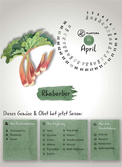 Bild: Rhabarber-Erntekalender und Johanni