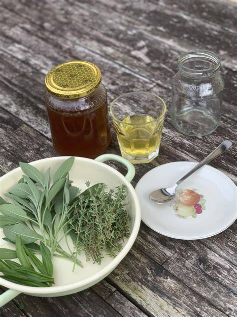 Bild: Teetasse mit Honiglöffel und Kräutern (Thymian, Spitzwegerich)
